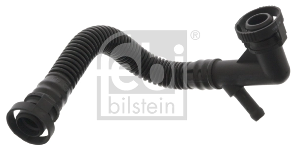 Hose, crankcase ventilation